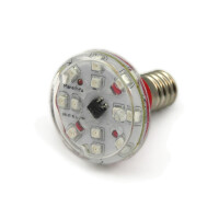 LED E14 XT16-37 110V rot (R)
