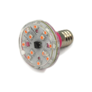 LED E14 XT16-37 110V pink (P)