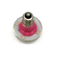 LED E14 XT16-37 60V pink (P)