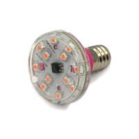 LED E14 XT16-37 220V pink (P)