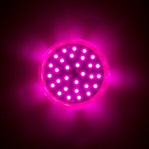 LED 35 SMD (30+5) Einbaucap einfarbig 2W 24V 60mm IP44 pink